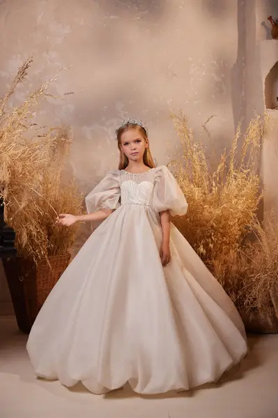 Missing image for Children dress 3639