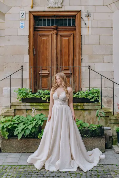 Missing image for Wedding dress Raine